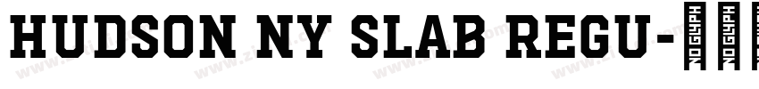 Hudson NY Slab Regu字体转换